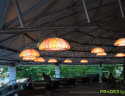 Pradex-light-svetilnik-muse-potolochnyi-podvesnoi-006
