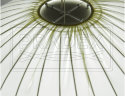 Pradex-light-svetilnik-muse-potolochnyi-podvesnoi-001