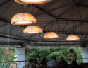 Pradex-light-svetilnik-muse-potolochnyi-podvesnoi-003