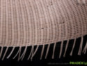 Pradex-mebel-rotang-svetilnik-medyza-05